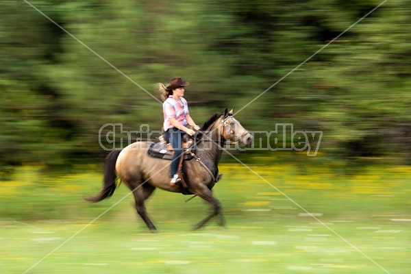 Young woman horseback riding western, galloping along field