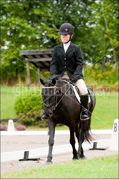 Lanes End Horse Trials