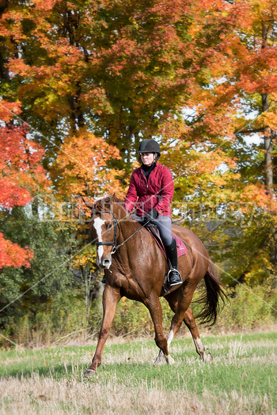 Woman riding chestnut horse in the autumn time