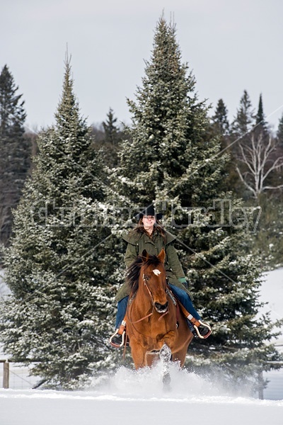 Portrait of a woman horseback riding in the snow