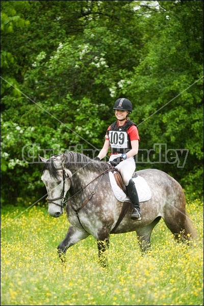 Horse Trials