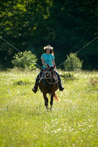 Woman trail riding on Standardbred mare