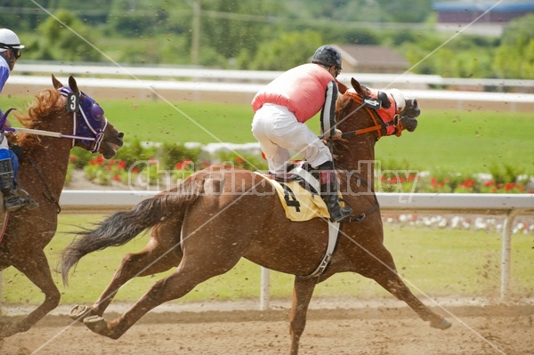 Quarter Horse Racing at Ajax Downs