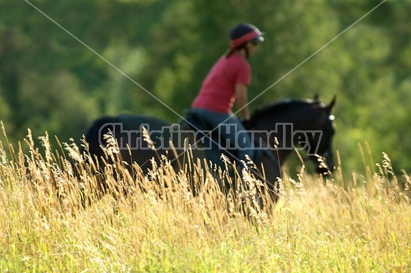 Woman horseback riding in field