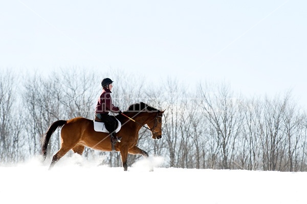 Woman riding bay horse through the deep snow