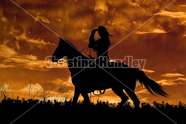 Silhouette of a cowgirl riding western.