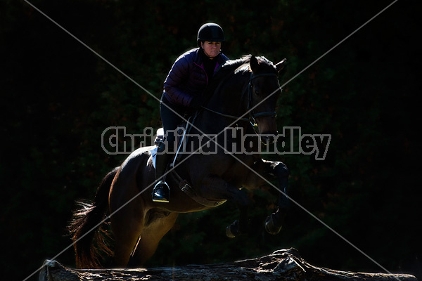 Woman riding Thoroughbred horse in dramatic light