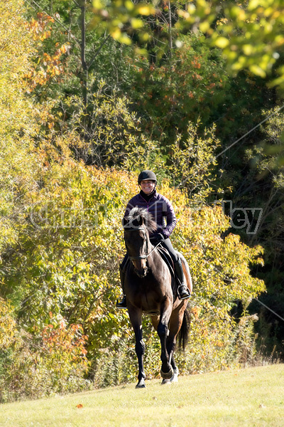 Woman riding Thoroughbred horse