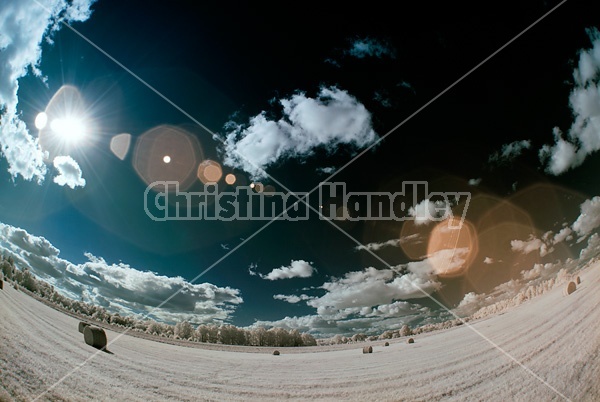 Infrared photo of hay field