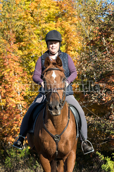 Woman riding a Chestnut Thoroughbred horse