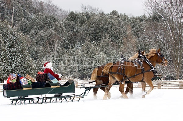 Santa Claus driving sleigh