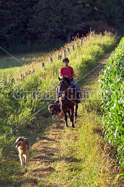 Woman horseback riding