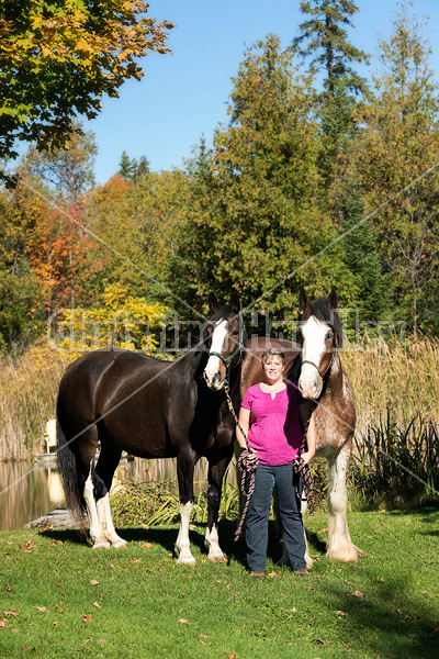 Portrait of a woman and her two horses