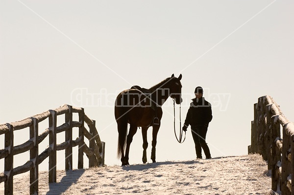 Woman with her horse on a foggy early morning