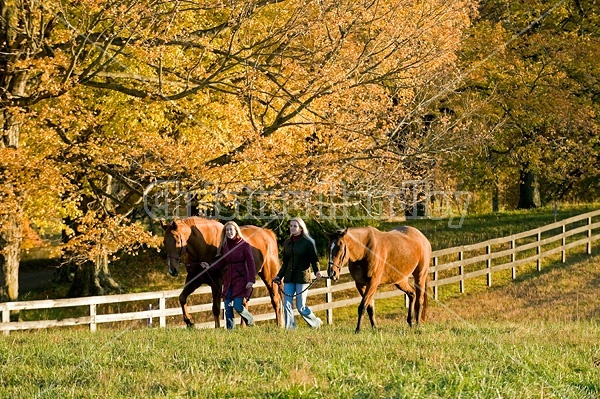 Two women leading horses through field.