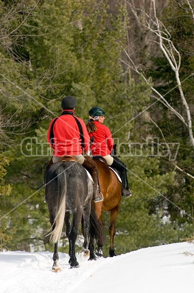 Horseback Riding in the Winter in Ontario Canada