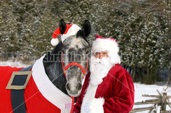 Santa Claus and his Horse