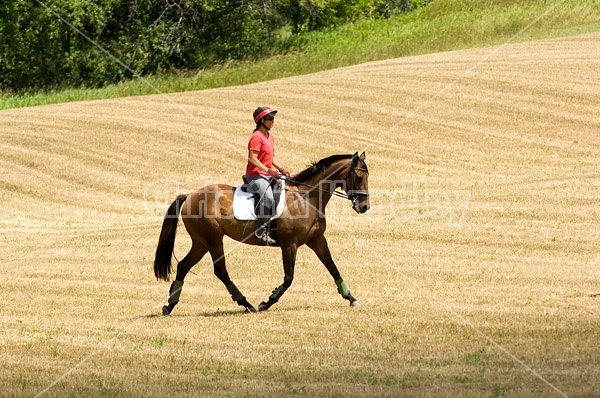 Woman horseback riding in field