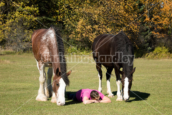 Portrait of a woman and her two horses