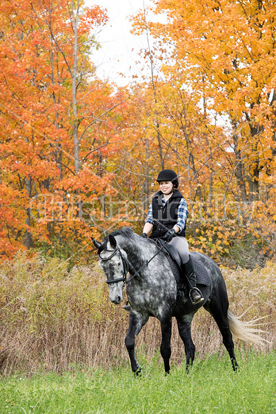 Young woman riding gray horse in the autumn colors