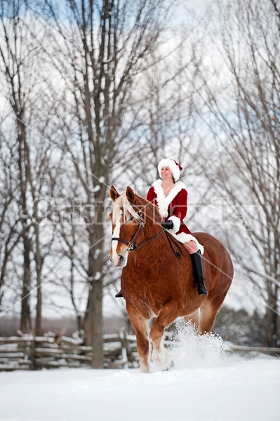 Mrs. Claus riding a Belgian draft horse bareback