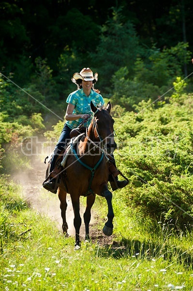 Woman trail riding on Standardbred mare