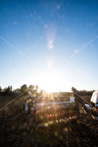 Farmer filling up a seed drill with seed oats.