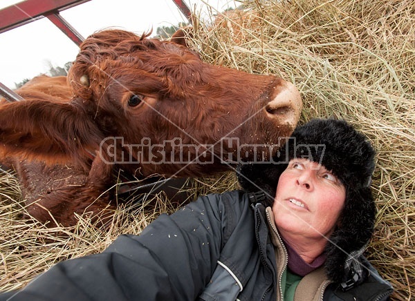 Self Portrait With Cow