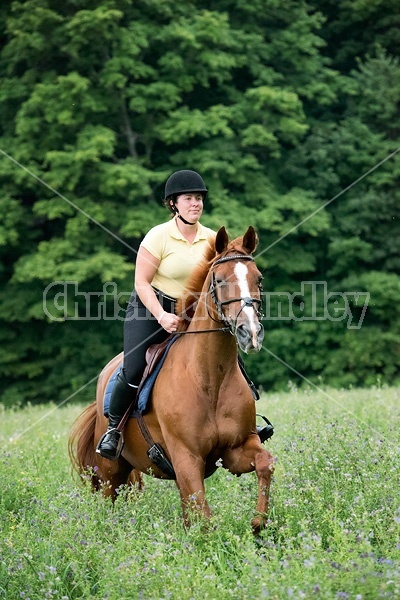 Young woman riding chestnut Thoroughbred horse.