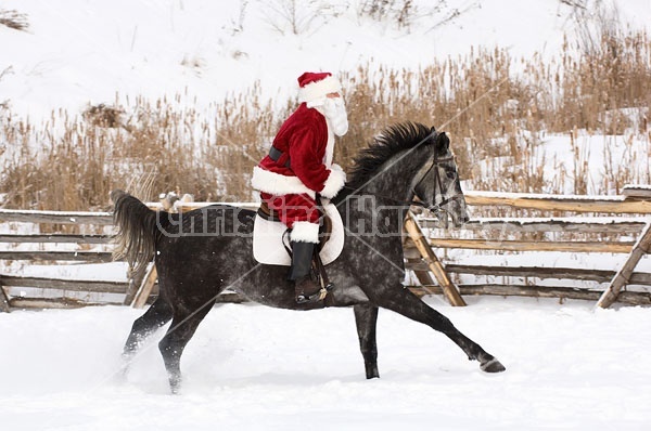 Santa Claus riding a horse