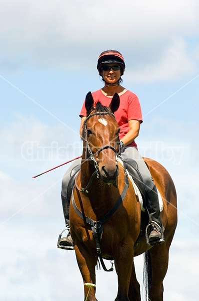 Woman riding bay horse