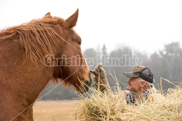 Farmer standing next to round bale of hay patting horse