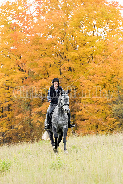 Young woman riding gray horse in the autumn colors