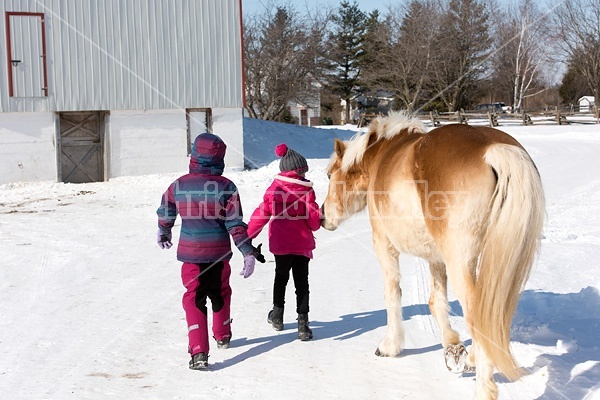 Two young girls with their pony