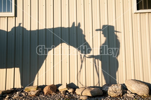 Shadow of woman and western horse on the side of barn