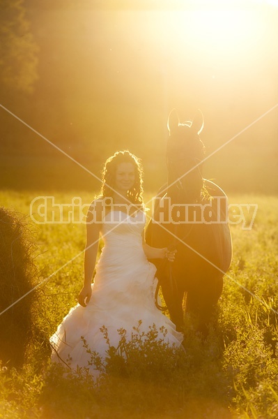 Woman in wedding dress with horse.