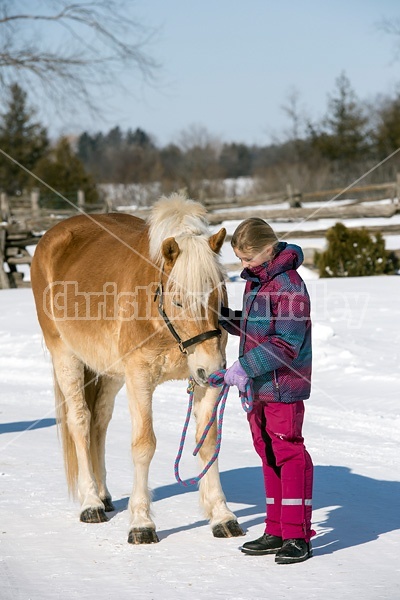 Young girl leading horse