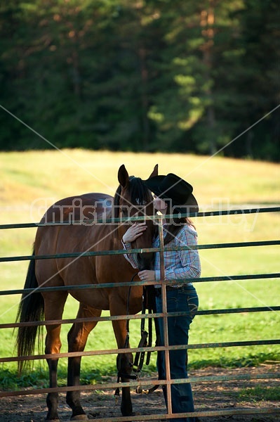 Young woman putting horse back in paddock