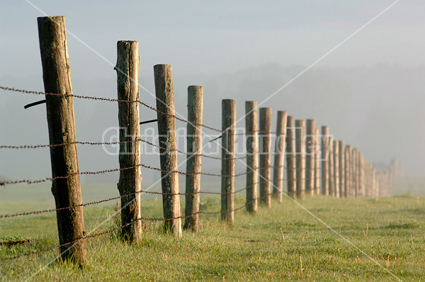 Barbed wire fence in the fog