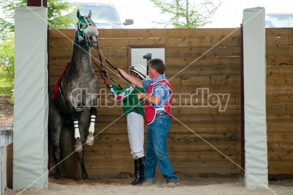 Quarter Horse Racing at Ajax Downs