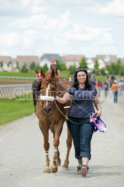 Quarter Horse Racing at Ajax Downs