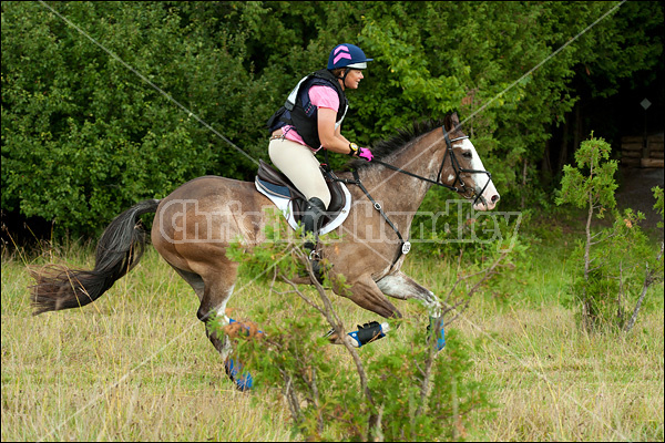 Lanes End Horse Trials