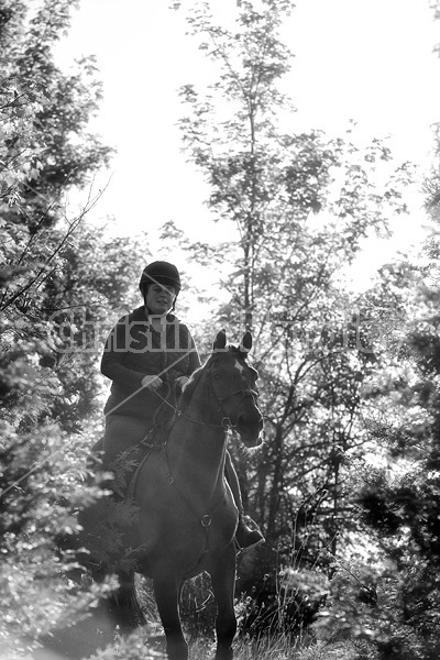 Woman horseback ridging through forest