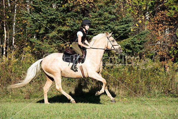 Young woman riding palomino horse