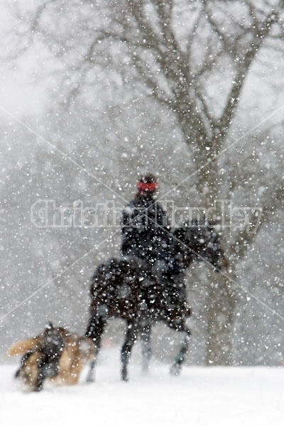 Woman horseback riding in the winter