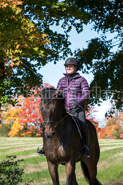 Woman horseback riding in field in the autumn of the year with colored leaves in the background