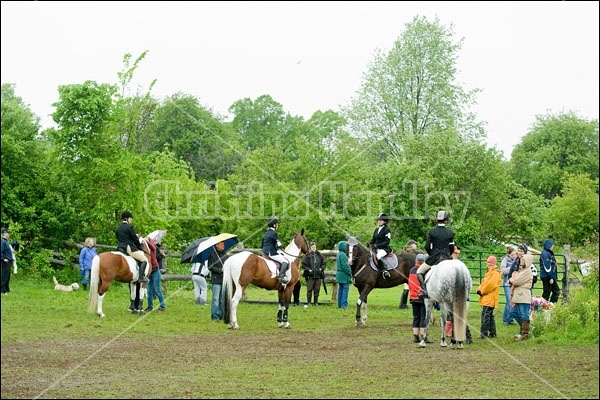 Horse Trials