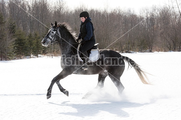 Woman riding Hanoverian mare in deep snow