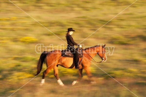 Young woman riding an American Paint Horse mare in the golden glow of the late evening light