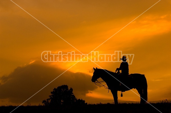Silhouette of a cowgirl against a colorful sky